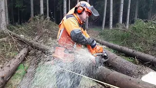 Lumberjack Little Harvester and a new model of a chainsaw! #lumberjack