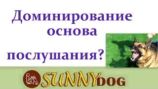 Доминирование   или кто в доме главный  Лидер? основа дрессировки - доминирование