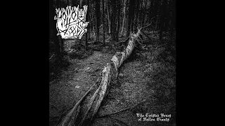 Hollow Woods - Like Twisted Bones of Fallen Giants (Full Album Premiere)
