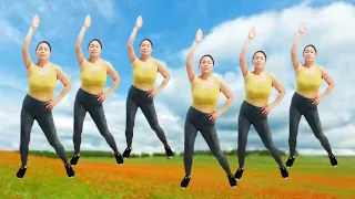 exercise daily routine at home, twist waist, reduce fat, side fat, lose belly fat, /lovely dance fit