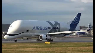 New | Amazing Super Transporter Airbus Beluga XL Landing at Airbus Factory Hamburg in 4K