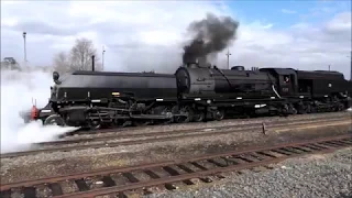 Beyer-Garratt 6029 running around her train at Goulburn.