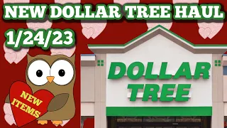NEW DOLLAR TREE HAUL 🤑 1/24/23. NEW ITEMS