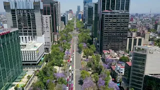 Flight over Mexico City's Paseo de la Reforma with DJI Mavic Pro Drone