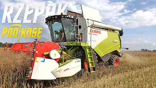 Żniwa 2023 🌾 Claas Tucano 320 ☀ GR Wiśniewski