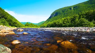 Peaceful River Water Sounds and Beautiful Relaxing Piano Music 4k • Relax, Sleep, Meditate, Study