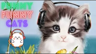 Funny Cat Videos Try Not To Laugh 😹 World's Funniest Cat Videos 😂 Funny Cat Video Compilation😺Part43