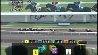 Woodbine, Tbred, October 28, Race 3