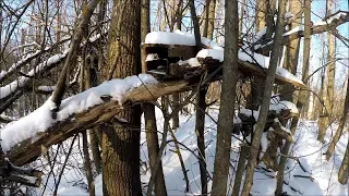 Январская проверка кп-120 ящичных со следовыми насторожками(Будни охотника и рыбака)