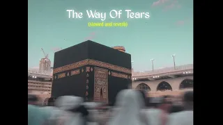 The Way Of Tears🤲🏻🤍But it's raining (slowed+reverb)