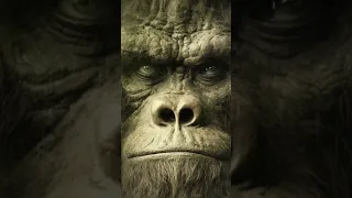 The Face Of Bigfoot  #shorts #shortvideo #shortsfeed #bigfoot #dogman