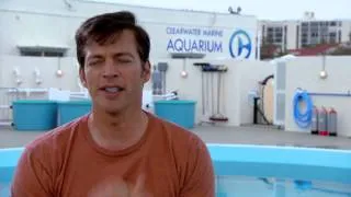 Dolphin Tale 2: Harry Connick, Jr. "Dr. Clay Haskett" Behind the Scenes Movie Interview 2|ScreenSlam