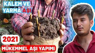 HERKES BU YÖNTEMİ ÖĞRENMELİ ❗ MUTLAKA AŞI YAPARKEN BUNU KULLANIN ✅