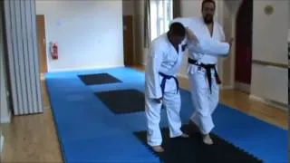 Kajuen Ryu Aiki-Jujitsu: Kawazu Gake