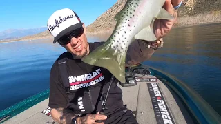 Big Swim Bait HawgHunter choked by chunk Large Mouth Bass | Perris Lake Ca