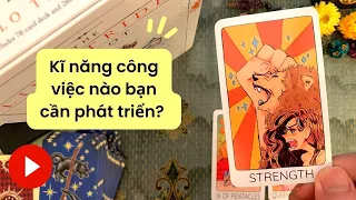 (Chọn tụ bài Tarot) KĨ NĂNG CÔNG VIỆC NÀO BẠN CẦN TẬP TRUNG NGAY LÚC NÀY?