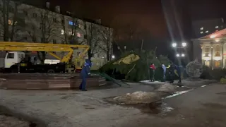 На Победе в Гомеле из-за сильного ветра упала елка