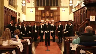 Down by the Salley Gardens - The Yale Whiffenpoofs 2019