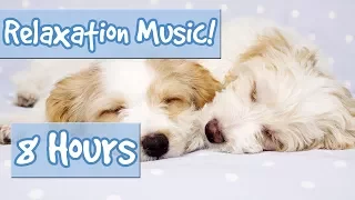 BEST PLAYLIST FOR CALMING PUPPIES. Music to Relax My Puppy, Special Therapy Music for Dogs 🐶 🎵 💤