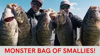 Smallmouth Bass Fishing on Pickwick and the Tennessee River - 27 Pounds of Smallmouth Today!