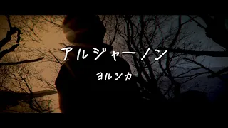 ヨルシカ ／ アルジャーノン 【covered by vitadolce】ドラマ『夕暮れに、手をつなぐ』主題歌 フル歌詞【男性キー】