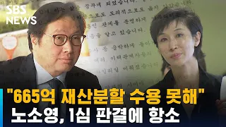 노소영 "'665억 재산분할' 수용 못해"…1심 판결에 항소 / SBS