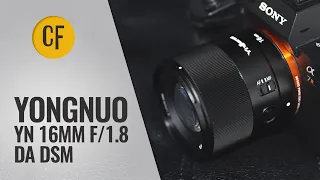 Yongnuo YN 16mm f/1.8 DA DSM lens review with samples