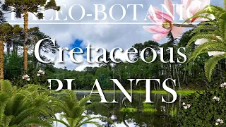 The Evolution of the Cretaceous Plants