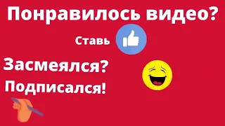 Снегу все радуются по - разному . Приколы с котами   #снег  #зима  #смешныекоты    #приколы