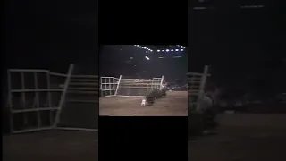 One of the most historic moments in equestrian history #tiktokaudios #trending #fypシ #shorts