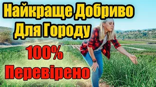 Секрет розкритий! Найкраще Добриво Для Городу - 100% Вірний Спосіб