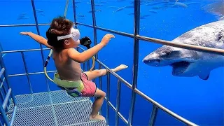 女子带5岁孩子近距离看鲨鱼，镜头拍下全过程