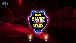 Titanic - Heart Of The Ocean x 毕竟深爱过 (抖音DJ小龙版 2023) Đã Từng Yêu Đậm Sâu (Remix Tiktok) || Hot Tiktok