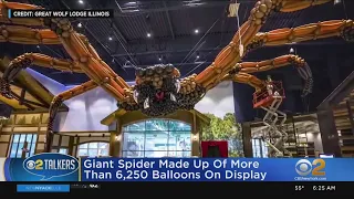 Giant Balloon Spider On Display For Halloween