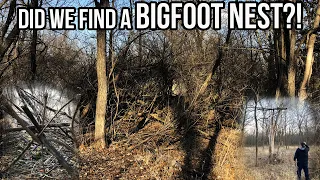 Did we find a BIGFOOT NEST?!