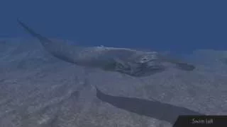 PA Blue Whale Animations
