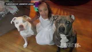 Body cam video of police shooting of two dogs released