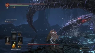 Darkeater Midir . FAILD . DARK SOULS™ III_20170425003832