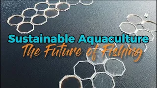 Sustainable Aquaculture: The Future of Fishing