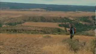 Thorp Moraine - Roadside Geology