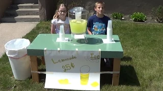 How to Run Your Own Lemonade Stand