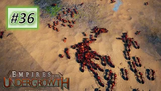 Empires of the Undergrowth #36: Buffed Fire Ant is OP (No Commentary)