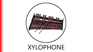 XYLOPHONE.