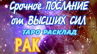 РАК 🧚‍♂️🧚‍♂️🧚‍♂️ Срочное ПОСЛАНИЕ от ВЫСШИХ СИЛ Таро Расклад Angel Tarot Forecasts