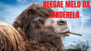 Música Reggae  ⚡ O Melhor do Reggae Internacional, melo de cinderela