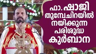 Holy  Mass | Fr Shaji Thumpechirayil | Lourde Matha Forane Church Perunnal Mass Vadakkanchery