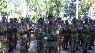 Zimbabwe Defence Forces the best in the region #263Chat