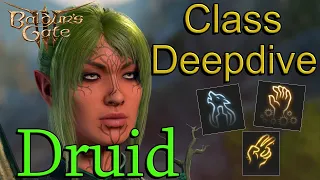 Ultimate Druid Class Guide | Baldur's Gate 3