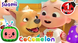 Koiramme Bingo | CoComelon Suomeksi - Lastenlaulut vauvoille | Lastenlauluja ja loruja