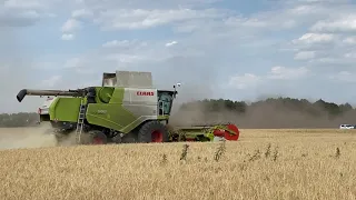 Демонстрация комбайна CLAAS Tucano 580 с жаткой Convio Flex 770 в Орловской обл., Колпнянский р-н